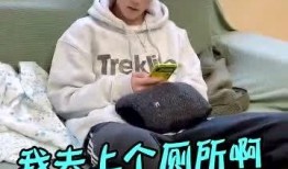 枕头老哥最新爆料,揭秘娱乐圈最新热点事件