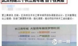武汉青年城最新爆料事件,揭秘背后惊人真相
